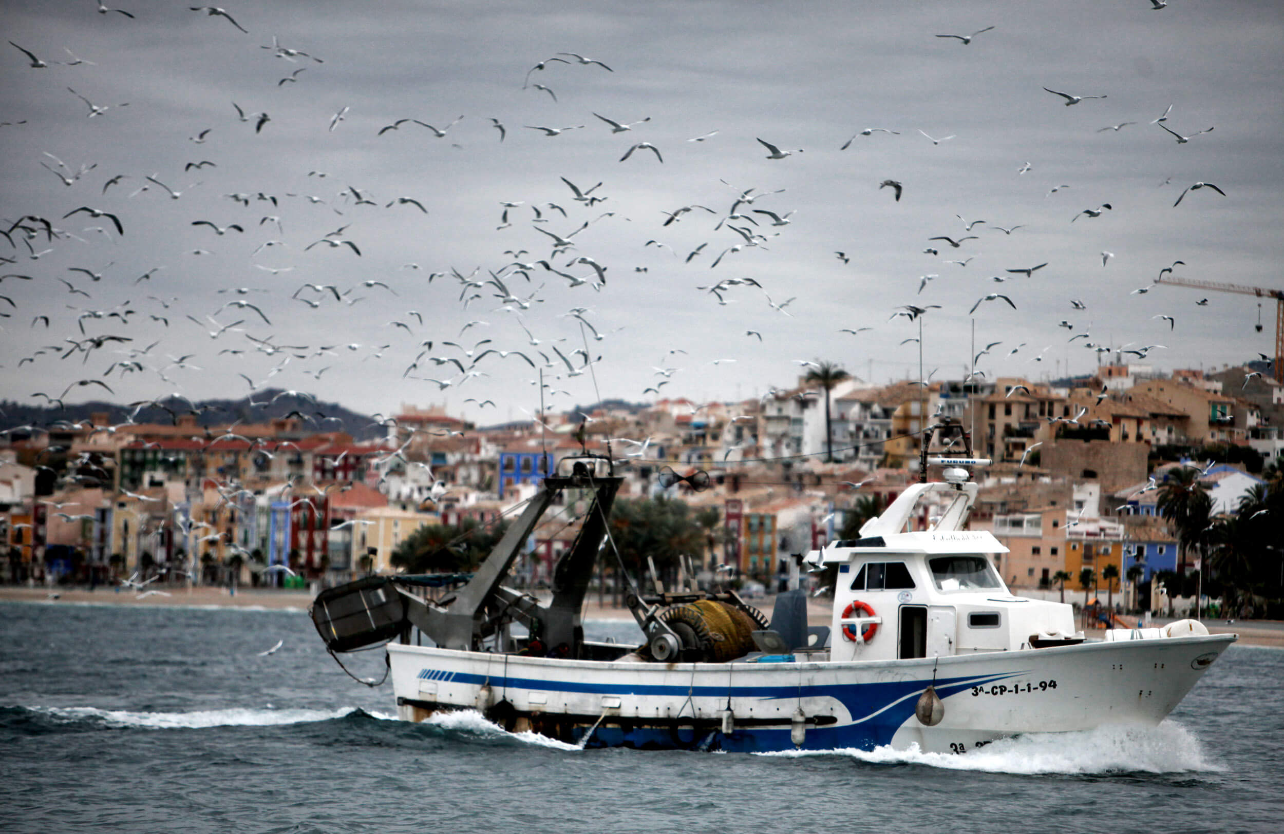 Mirando al Mar